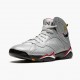 Repsneakers Air Jordan 7 Retro Reflections of A Champion BV6281-006 Shoes